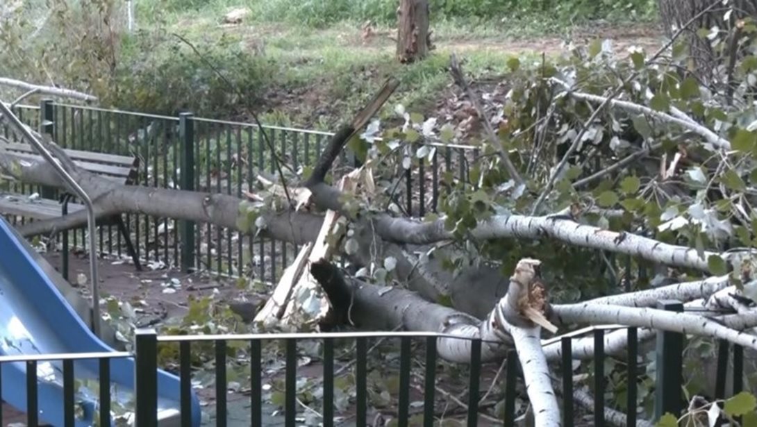 Δέντρο έπεσε σε παιδική χαρά στο Χαϊδάρι - Στο σημείο βρισκόταν μικρό παιδί