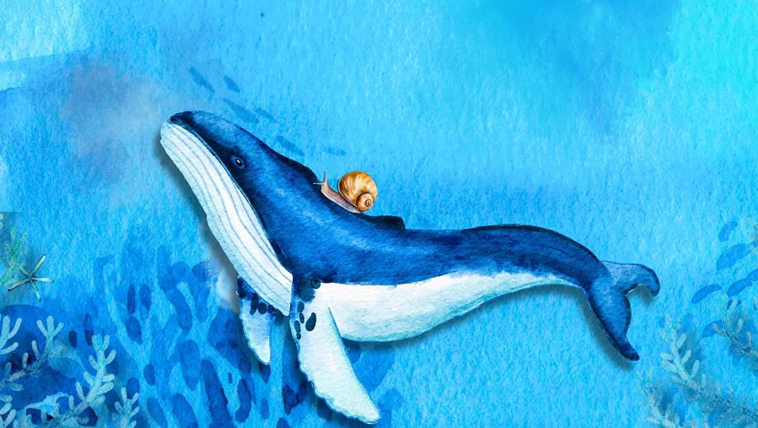 "Ενα σαλιγκάρι στον ωκεανό": Εργαστήριο δημιουργικής απασχόλησης για παιδιά 2-4 ετών