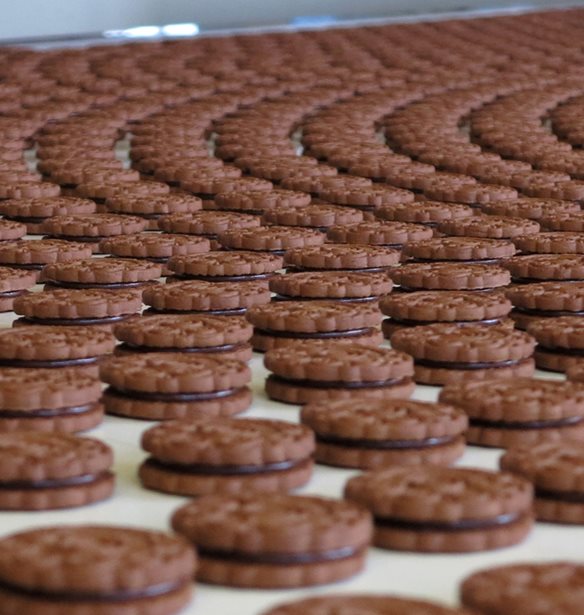 Παγκόσμια Ημέρα Μπισκότου: Μύρισε Χριστούγεννα με τα μπισκότα Παπαδοπούλου