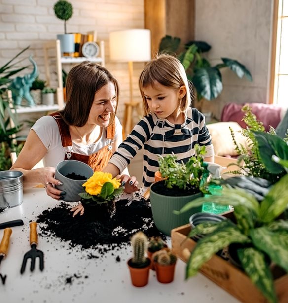 Αυτό το φυτό που φέρνει τύχη αλλά όλοι είχαν ξεχάσει, επιστρέφει στα σπίτια μας το 2026