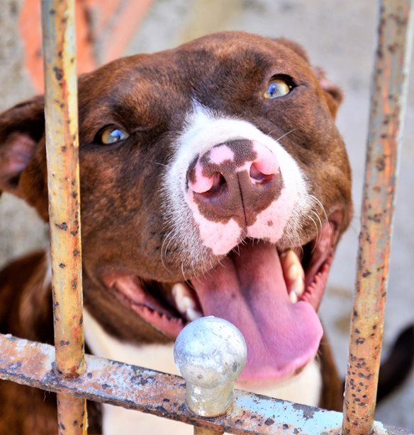 "Μου χαμογέλασε και έκλεισε τα μάτια του" - Συγκλονίζει ο πατέρας του 2χρονου στη Ζάκυνθο για τον φρικτό θάνατό του