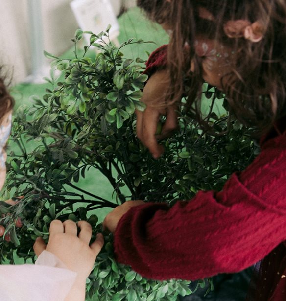 Στο The Mamagers Family Fun Day, το "ταξίδι της ελιάς" από τη Χρυσελιά μάγεψε μικρούς και μεγάλους