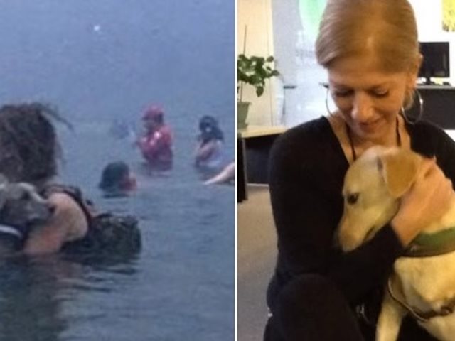 Αμόρ: Πέθανε το σκυλάκι που είχε σωθεί από τη φωτιά στο Μάτι