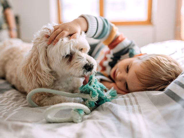 Έχεις σκυλί στο σπίτι; Νέες έρευνες αποκαλύπτουν την προστατευτική επίδραση στα μικρά παιδιά