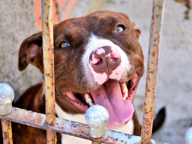 "Μου χαμογέλασε και έκλεισε τα μάτια του" - Συγκλονίζει ο πατέρας του 2χρονου στη Ζάκυνθο για τον φρικτό θάνατό του