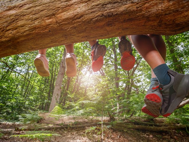 76χρονος δηλητηρίαζε παιδιά σε κατασκήνωση της Αγγλίας