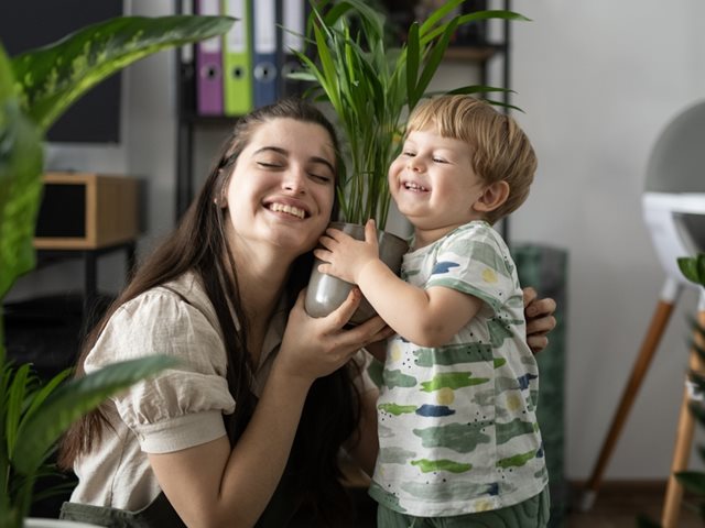 Αυτό είναι το φυτό που θα βάλεις στο σαλόνι και θα σου φέρνει τύχη, σύμφωνα με το Feng Shui