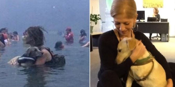 Αμόρ: Πέθανε το σκυλάκι που είχε σωθεί από τη φωτιά στο Μάτι