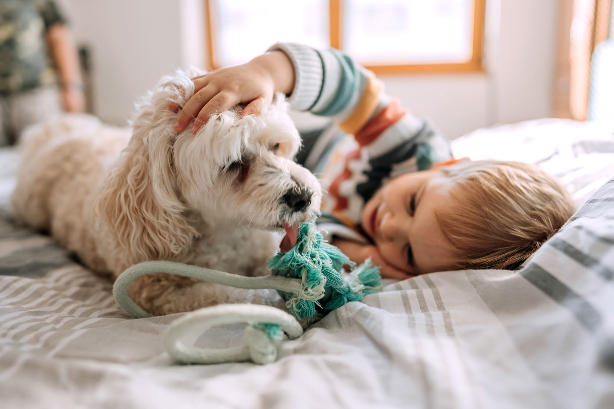 Έχεις σκυλί στο σπίτι; Νέες έρευνες αποκαλύπτουν την προστατευτική επίδραση στα μικρά παιδιά
