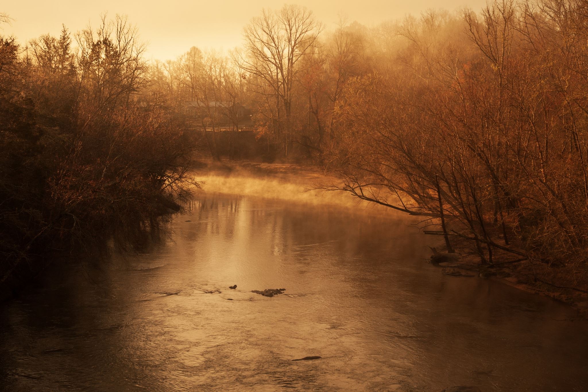 "Το ποτάμι" - Το σπουδαίο διήγημα του Αντώνη Σαμαράκη που μιλά για το παράλογο του πολέμου