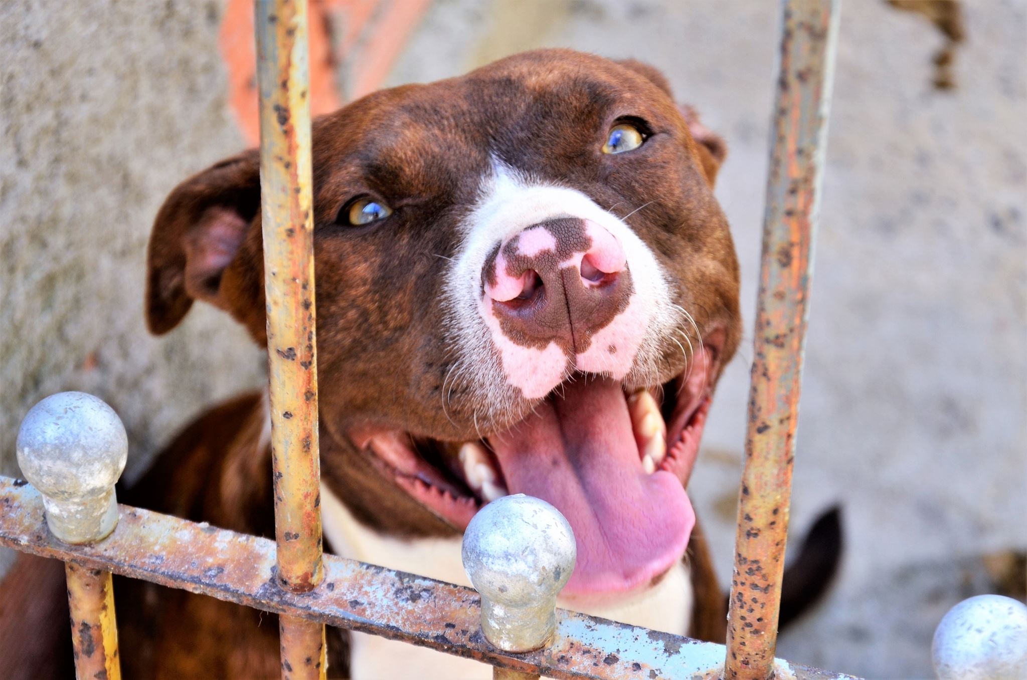 "Μου χαμογέλασε και έκλεισε τα μάτια του" - Συγκλονίζει ο πατέρας του 2χρονου στη Ζάκυνθο για τον φρικτό θάνατό του