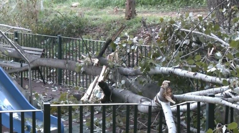 Δέντρο έπεσε σε παιδική χαρά στο Χαϊδάρι - Στο σημείο βρισκόταν μικρό παιδί